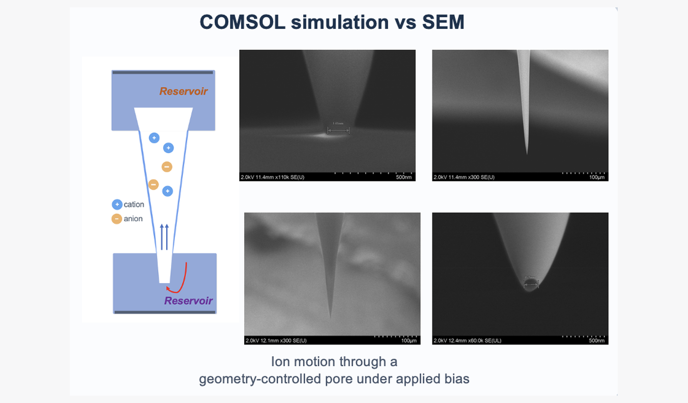 COMSOL simulation versus SEM comparison plot