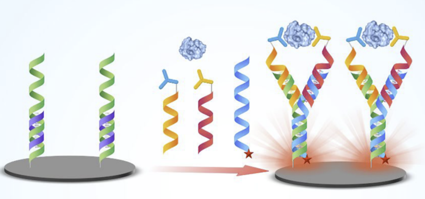 Uploaded research figure